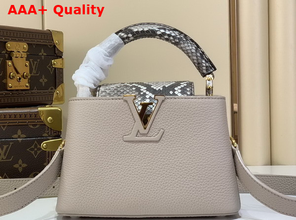 Louis Vuitton Capucines Mini Handbag Galet Gray Taurillon and Python Leather N85517 Replica