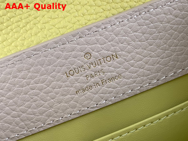 Louis Vuitton Capucines Mini Handbag in Galet Gray Taurillon Leather Gold Color Chain Adorned with Colored Monogram Flowers Replica