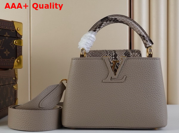 Louis Vuitton Capucines Mini Handbag in Galet Gray Taurillon Leather and Python Leather Trim N85517 Replica