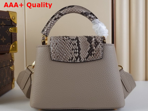 Louis Vuitton Capucines Mini Handbag in Galet Gray Taurillon Leather and Python Leather Trim N85517 Replica