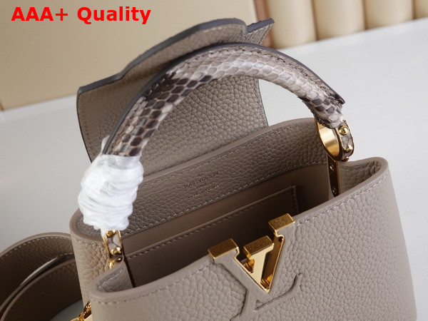 Louis Vuitton Capucines Mini Handbag in Galet Gray Taurillon Leather and Python Leather Trim N85517 Replica