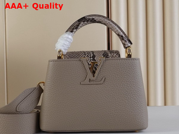 Louis Vuitton Capucines Mini Handbag in Galet Gray Taurillon Leather and Python Leather Trim N85517 Replica