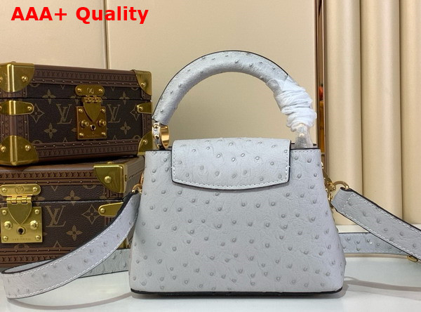 Louis Vuitton Capucines Mini Handbag in Grey Ostrich Leather with Triple Chain Adornment Replica