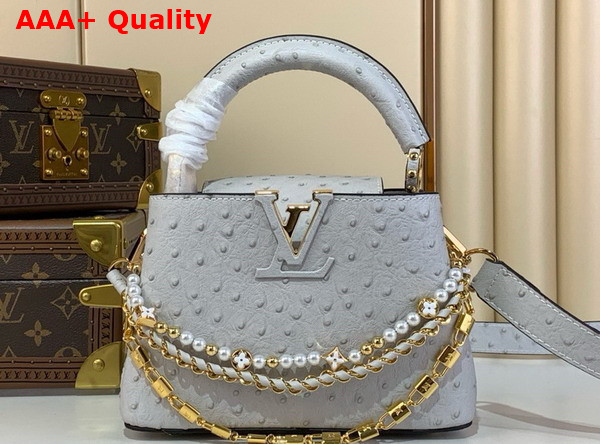 Louis Vuitton Capucines Mini Handbag in Grey Ostrich Leather with Triple Chain Adornment Replica