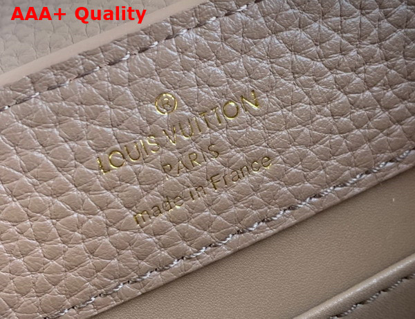 Louis Vuitton Capucines Mini Handbag in Smokey Brown Taurillon Leather with Leopard LV Replica