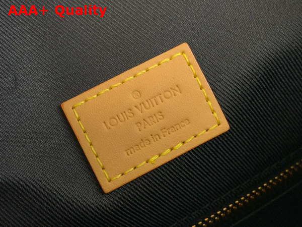 Louis Vuitton Christopher MM Backpack in Chocolate Monogram Craggy Coated Canvas Replica