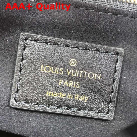 Louis Vuitton City Frame Black Taiga Cowhide Leather and Smooth Calf Leather M52240 Replica