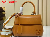 Louis Vuitton Cluny Mini Handbag in Gold Miel Epi Grained Cowhide Leather M58931 Replica