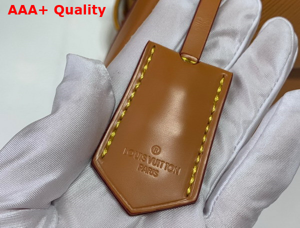 Louis Vuitton Cluny Mini Handbag in Gold Miel Epi Grained Cowhide Leather M58931 Replica