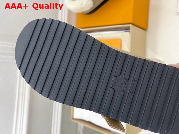 Louis Vuitton Colorado Comfort Mary Jane Beige Monogram Embroidered Suede Calf Leather 1AIGKZ Replica