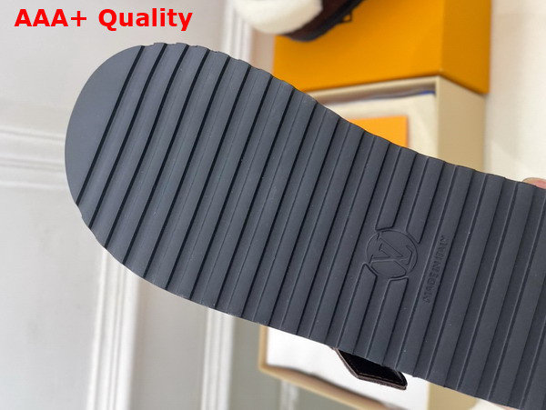 Louis Vuitton Colorado Comfort Mary Jane Brown Monogram Embroidered Suede Calf Leather 1AIGLF Replica