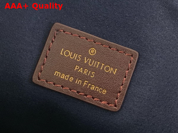 Louis Vuitton Coussin Hobo MM Chocolat Calf Leather M12072 Replica