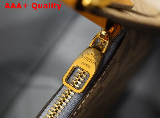 Louis Vuitton Damier Azur Canvas Neonoe MM Bucket Bag Features a Detachable Leather Top Handle and a Hand Braided Bicolor Leather Shoulder Strap N50042 Replica