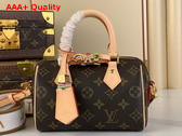 Louis Vuitton Diy Speedy 18 Bag in Monogram Canvas Replica