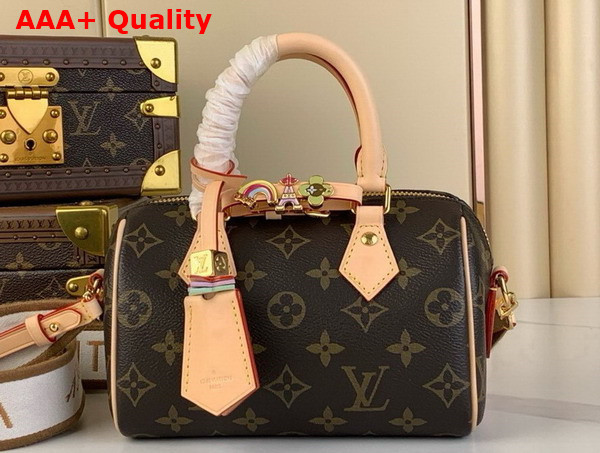 Louis Vuitton Diy Speedy 18 Bag in Monogram Canvas Replica