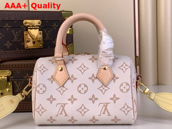 Louis Vuitton Diy Speedy 18 Bag in Monogram Dune Coated Canvas Replica