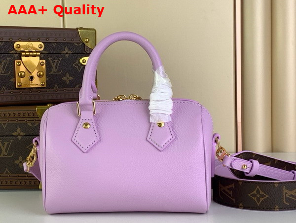 Louis Vuitton Diy Speedy 18 Bag in Wisteria Calfskin Leather M24598 Replica
