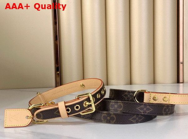 Louis Vuitton Dog Collar Monogram Canvas and Natural Cowhide Leather Replica