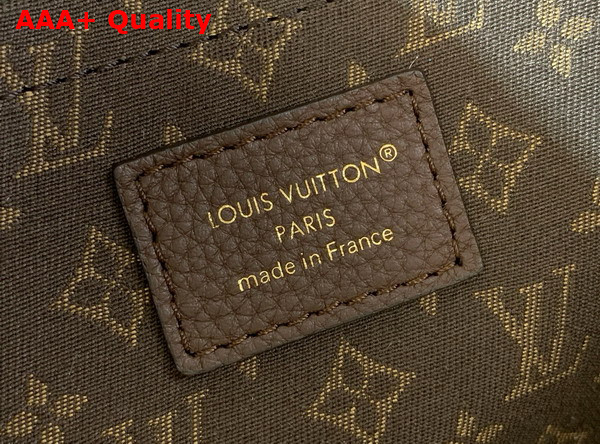 Louis Vuitton Express MM Acajou Calfskin Leather M26397 Replica