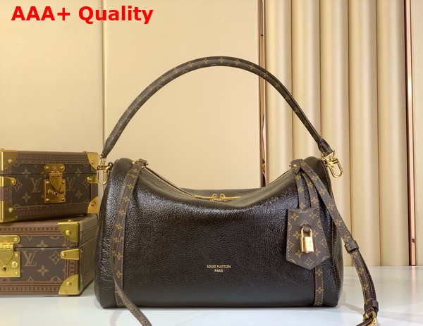 Louis Vuitton Express MM Saga Acajou Calfskin Leather M26359 Replica