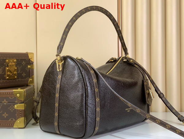 Louis Vuitton Express MM Saga Acajou Calfskin Leather M26359 Replica