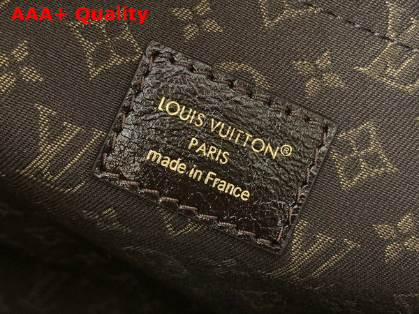 Louis Vuitton Express MM Saga Acajou Calfskin Leather M26359 Replica