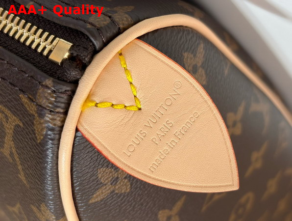 Louis Vuitton Flanerie 45 Monogram Coated Canvas M2A305 Replica