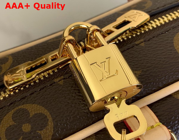Louis Vuitton Hang On Handbag in Monogram Coated Canvas M47031 Replica