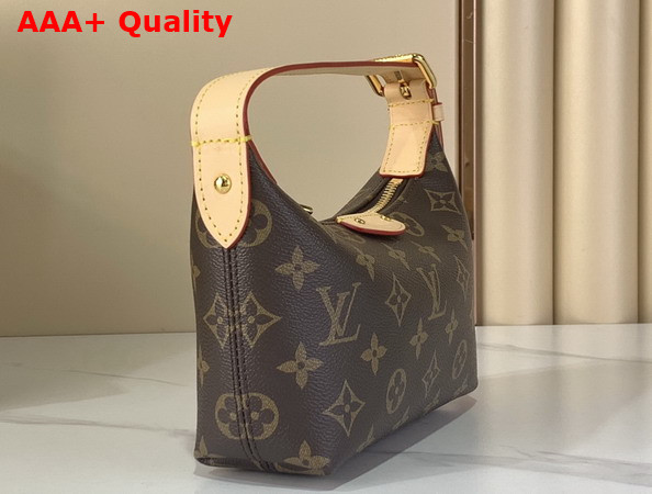 Louis Vuitton Hills Pochette in Monogram Canvas M27509 Replica
