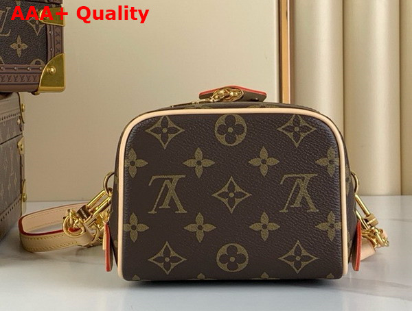Louis Vuitton Just In Case Handbag in Monogram Canvas M47096 Replica