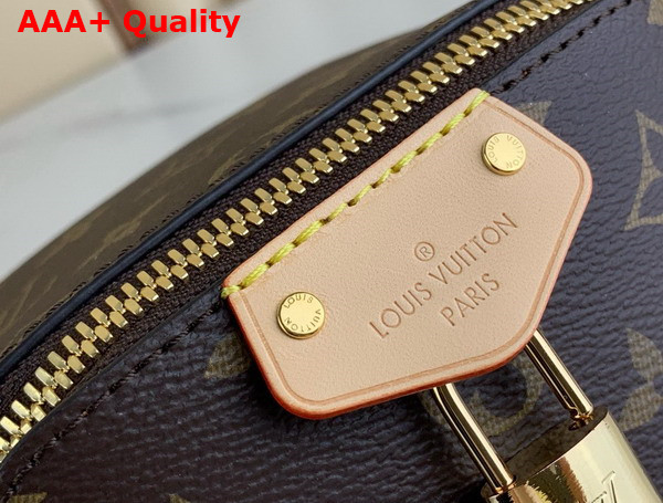 Louis Vuitton Just In Case Handbag in Monogram Canvas M47096 Replica