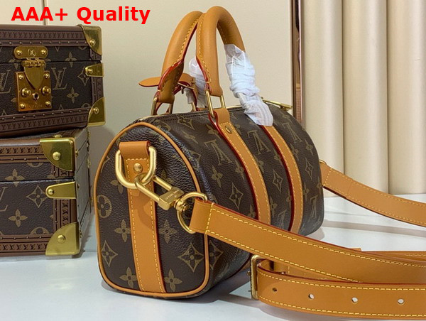 Louis Vuitton Keepall 25 Cargo in Monogram Coated Canvas M14981 Replica