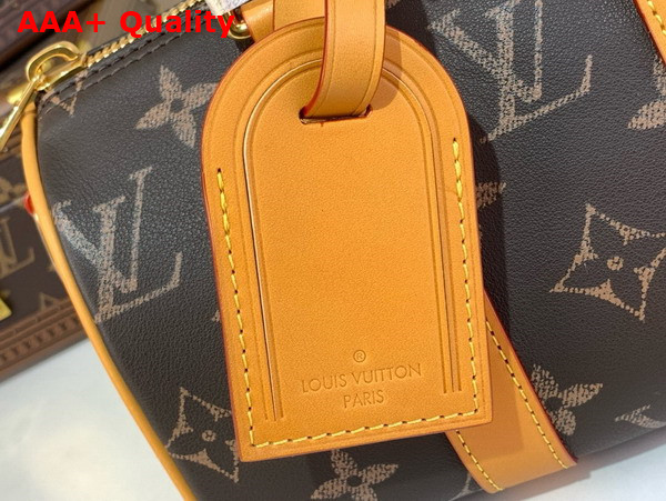 Louis Vuitton Keepall Bandouliere 25 Autres Cuirs Monogram M14026 Replica