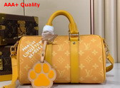 Louis Vuitton Keepall Bandouliere 25 Yellow Monogram Heritage Coated Canvas M13166 Replica