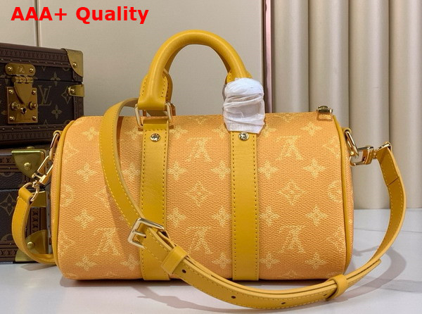 Louis Vuitton Keepall Bandouliere 25 Yellow Monogram Heritage Coated Canvas M13166 Replica