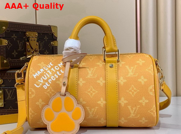 Louis Vuitton Keepall Bandouliere 25 Yellow Monogram Heritage Coated Canvas M13166 Replica
