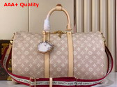 Louis Vuitton Keepall Bandouliere 45 Meowgram Coated Canvas M25787 Replica