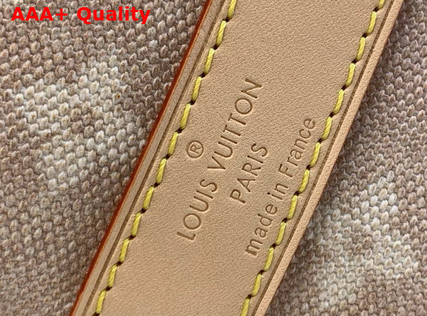 Louis Vuitton Keepall Bandouliere 45 Meowgram Coated Canvas M25787 Replica