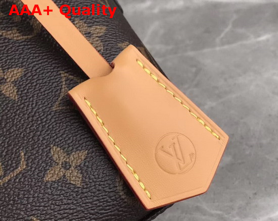 Louis Vuitton LV Moon Backpack Monogram Canvas and Smooth Calfskin Leather Trim M44944 Replica
