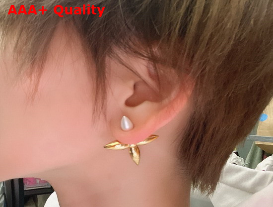 Louis Vuitton Louisette Stud Earrings Silver and Gold Color Hardware M80268 Replica