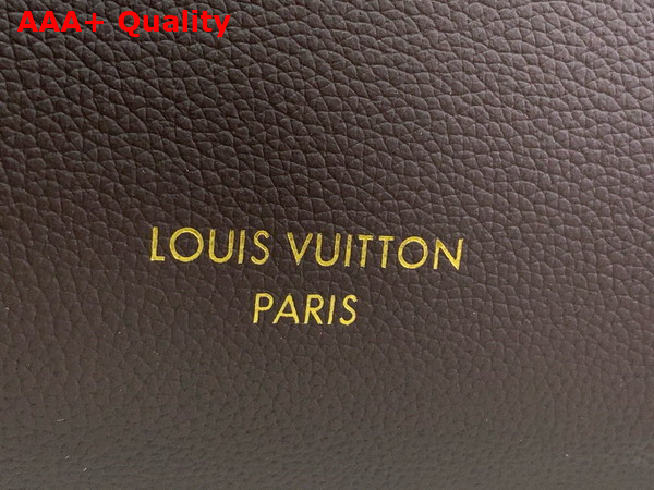 Louis Vuitton Low Key Cabas MM in Chocolate Calf Leather M12916 Replica