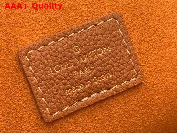 Louis Vuitton Low Key Hobo PM Bag in Cognac Grained Calfskin M25354 Replica