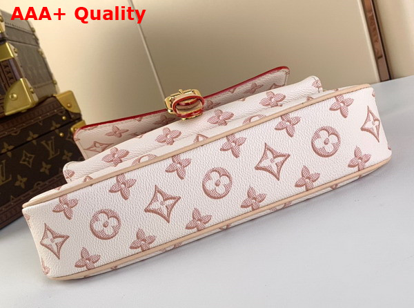 Louis Vuitton Maxi Multi Pochette Accessoires Beige Clair Monogram Coated Canvas M20920 Replica