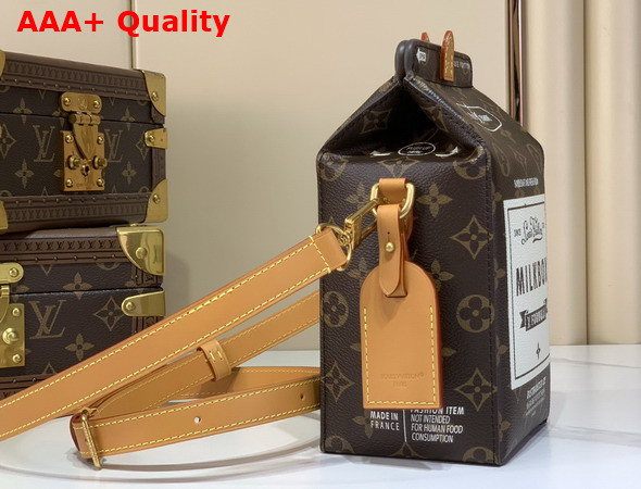 Louis Vuitton Milk Bag in Monogram Coated Canvas M29326 Replica