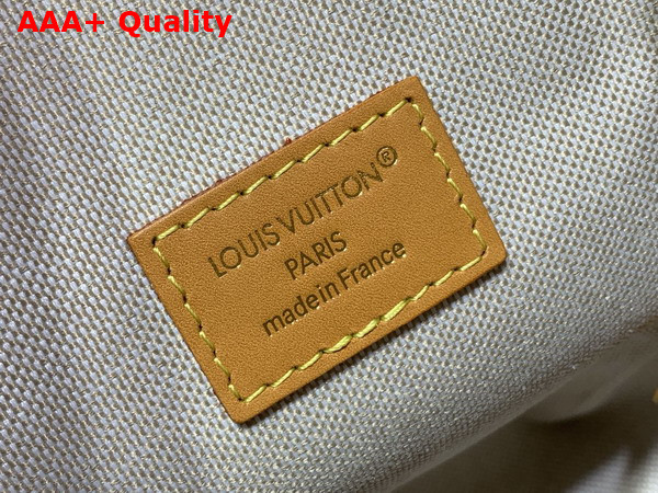 Louis Vuitton Milk Bag in Monogram Coated Canvas M29326 Replica