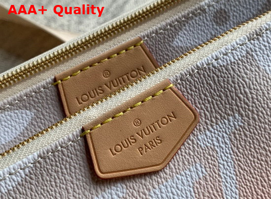 Louis Vuitton Multi Pochette Accessoires Brume Monogram Giant Coated Canvas M57634 Replica