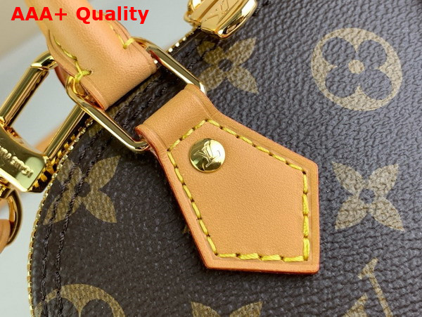 Louis Vuitton Nano Alma Bag in Monogram Canvas Replica