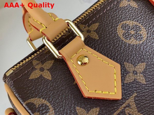 Louis Vuitton Nano Speedy Bag in Monogram Canvas with Printed Vivienne Motif Replica
