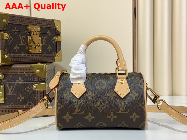 Louis Vuitton Nano Speedy Monogram Canvas M81085 Replica