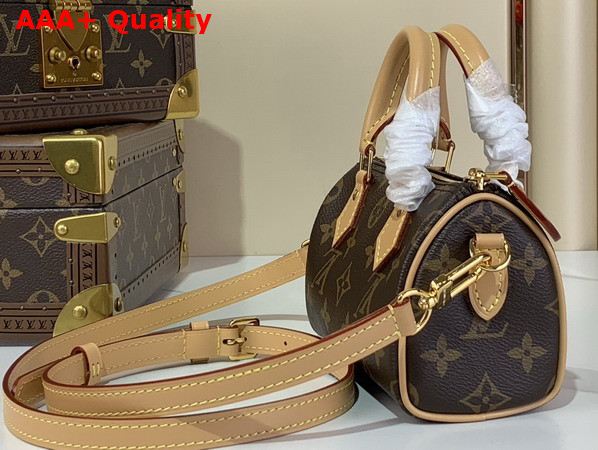 Louis Vuitton Nano Speedy Monogram Canvas M81085 Replica